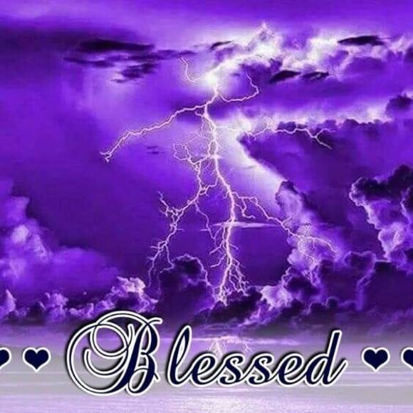 Meet your Posher, Donna - Picture 1 of 1